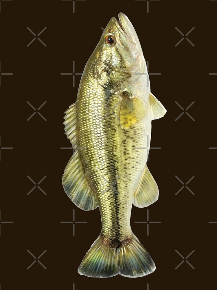 Largemouth Bass iPhone Case for Sale by William Lee