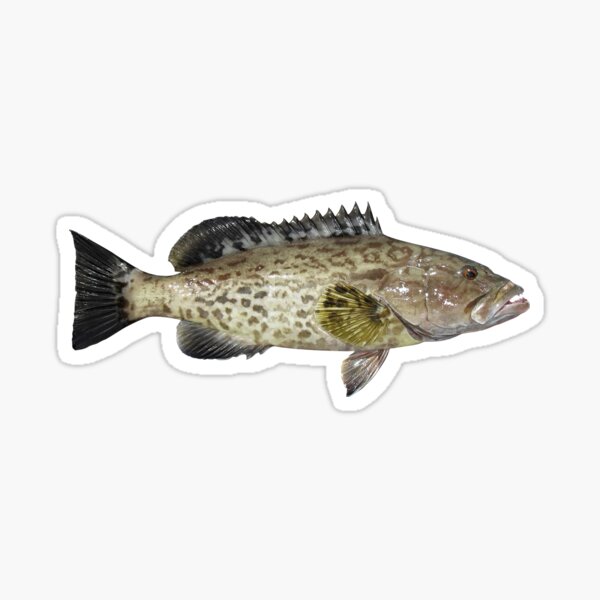Item preview, Gag Grouper designed and sold by lureguru.