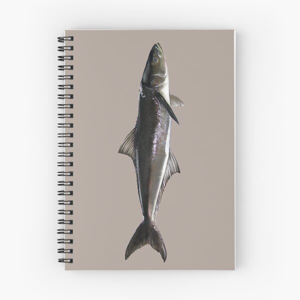 Item preview, Cobia designed and sold by fishindecals.