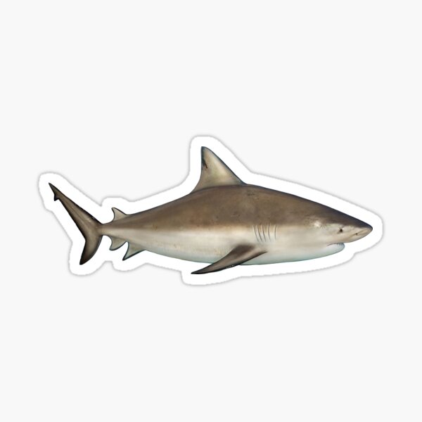 Item preview, Bullshark designed and sold by lureguru.