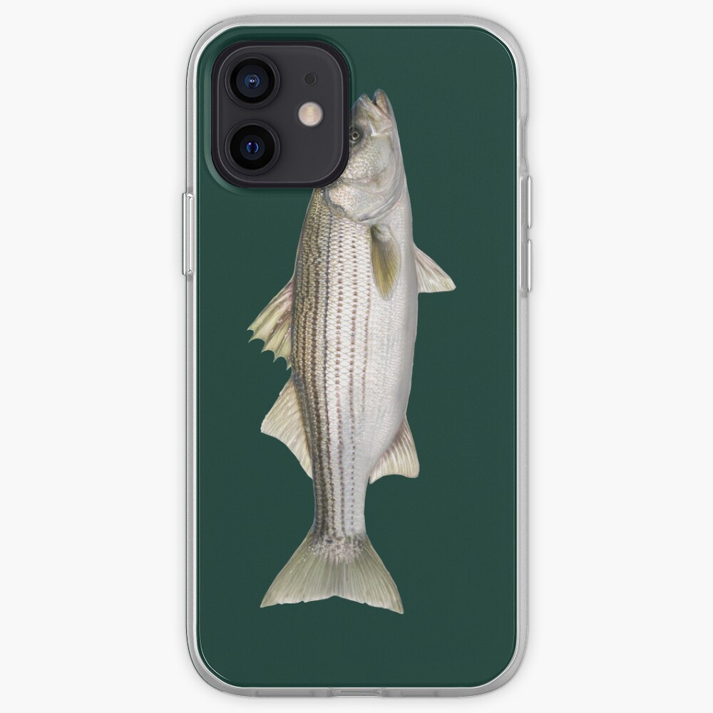 "Striped Bass" iPhone Case & Cover by lureguru Redbubble