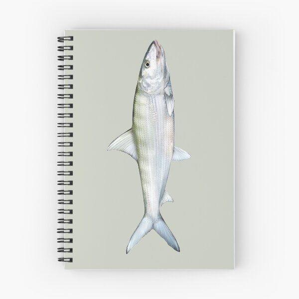 Item preview, Bonefish designed and sold by lureguru.