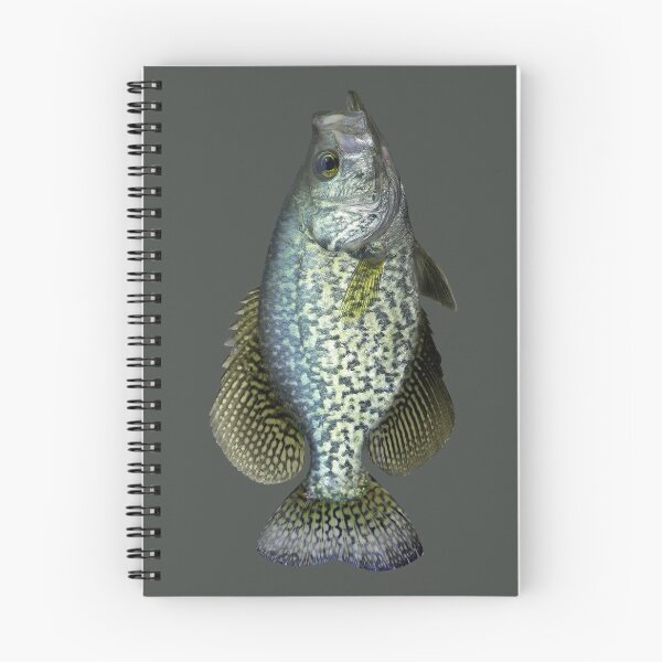 Item preview, Black Crappie designed and sold by fishindecals.