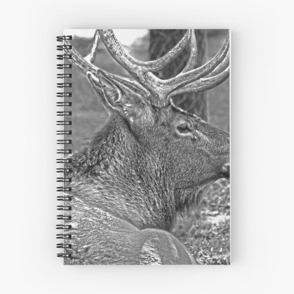 Item preview, I Am Wapiti designed and sold by miroslava.