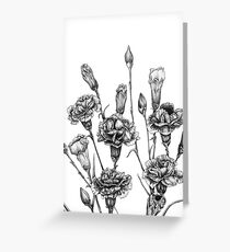 Carnation Botanical Design Greeting Card