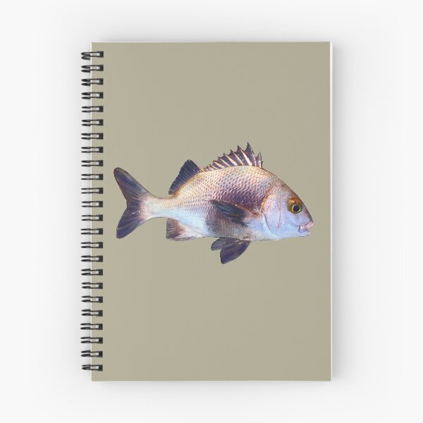 Artikelvorschau, Schwarze Margate entworfen und verkauft von fishindecals.