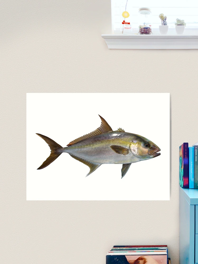 Jack Tarpon Fishing Art on X: Smallmouth Bass Wall Art Print