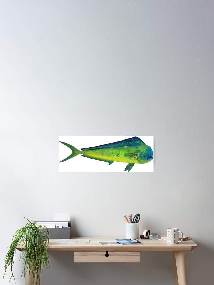 Mahi Mahi Poster