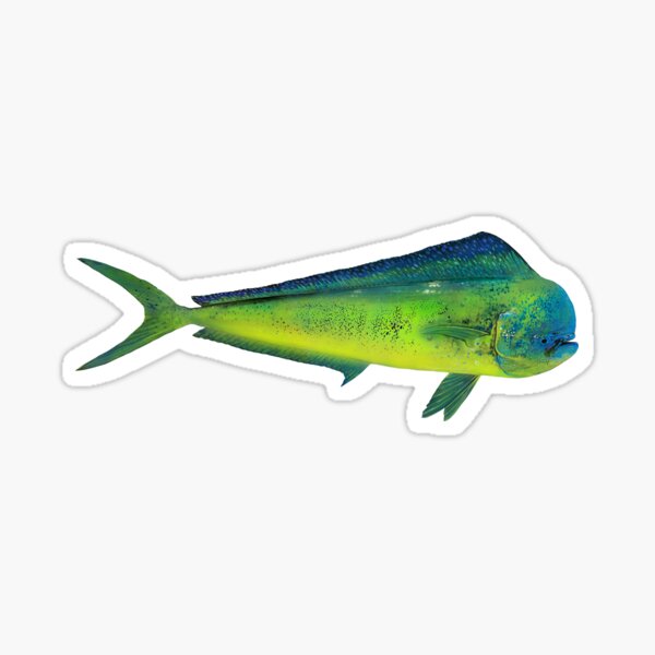 Dorado Fish Stickers for Sale