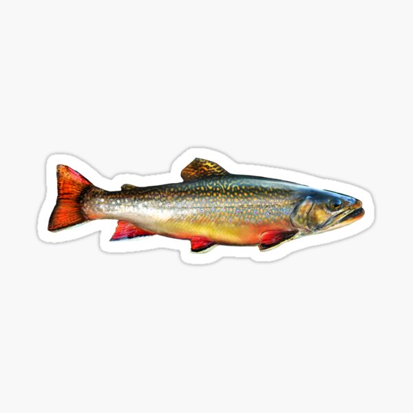 D1M 13 Fishing Sticker White/Blk Background - Jo-Brook Outdoors