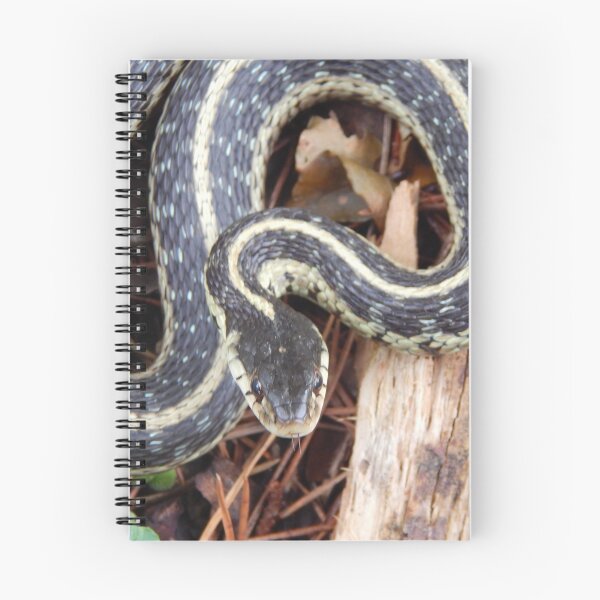 Item preview, Garter Snake designed and sold by Ashley Gagnon.