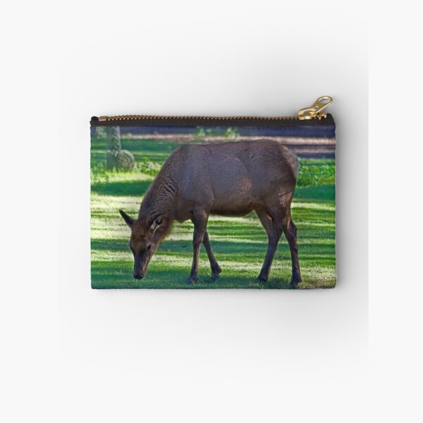Item preview, Comfy Safe And Grazing designed and sold by miroslava.
