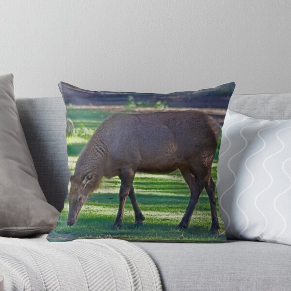 Item preview, Comfy Safe And Grazing designed and sold by miroslava.