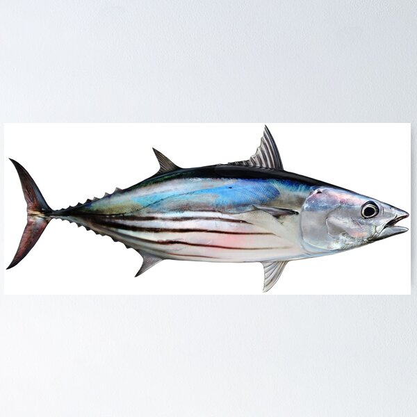 Item preview, Skipjack Tuna designed and sold by lureguru.