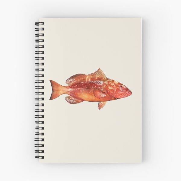 Item preview, Red Grouper designed and sold by fishindecals.