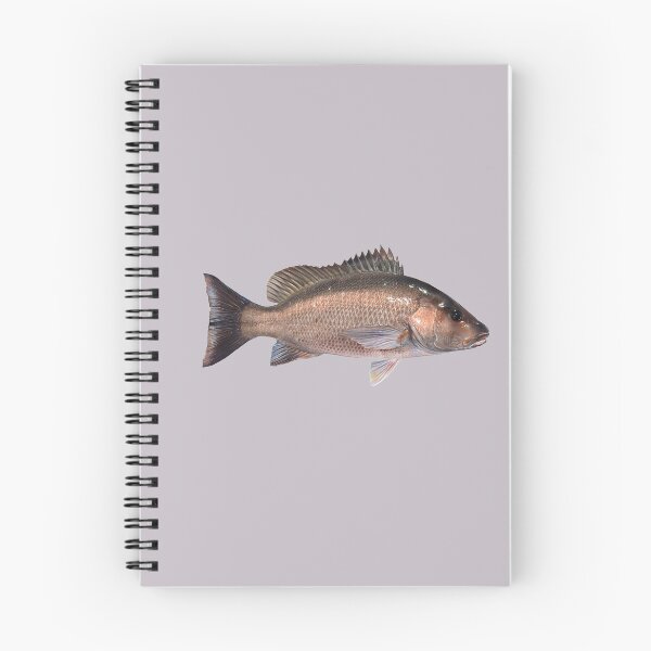 Item preview, Pargo gris designed and sold by fishindecals.