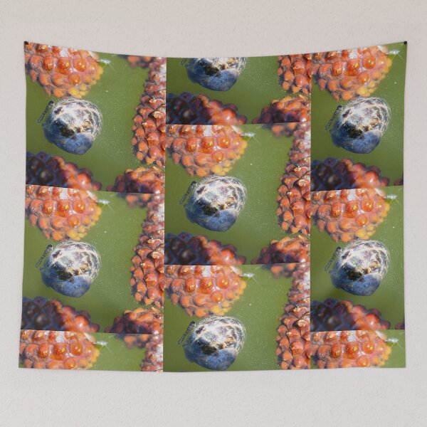 Item preview, Pond Life designed and sold by duncandragon.