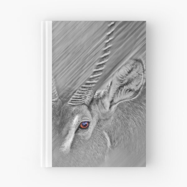 Item preview, Waterbuck designed and sold by miroslava.