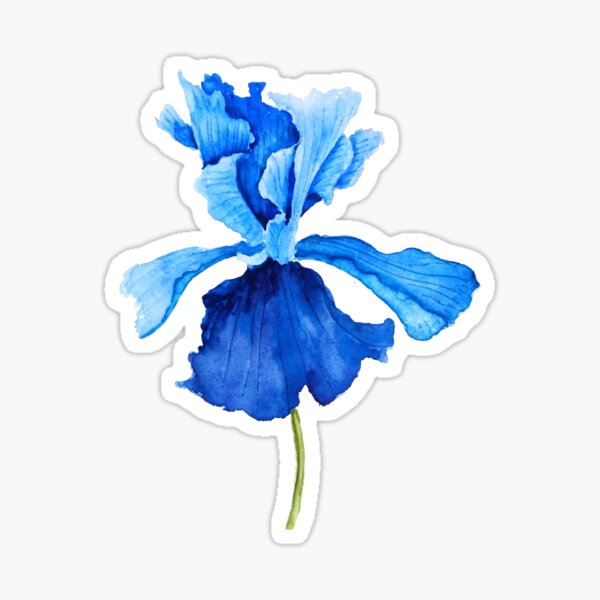 one blue iris watercolor Sticker