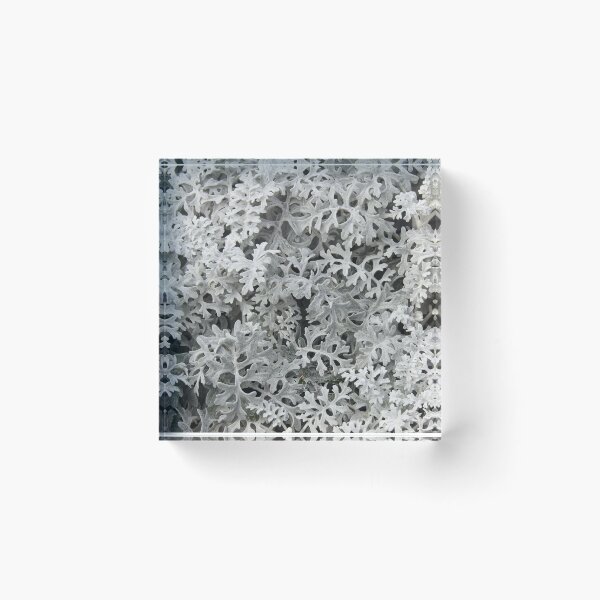 Item preview, Grey Fronds designed and sold by paulbeecham.