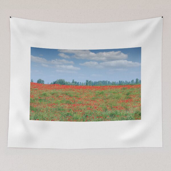 Aperçu de l'œuvre Paysage de campagne de champ de fleurs de coquelicots créée et vendue par goceris.