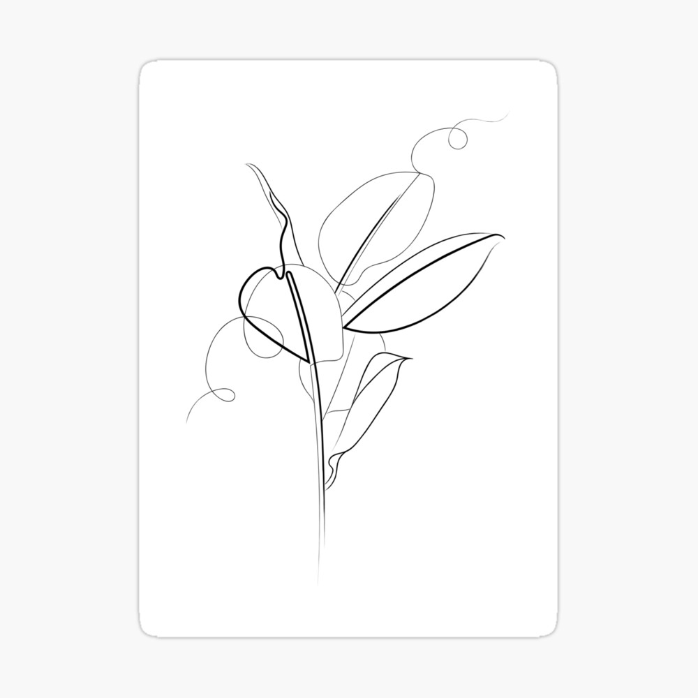 Coffee Plant - Watercolor drawing of small bush with berries - CleanPNG /  KissPNG