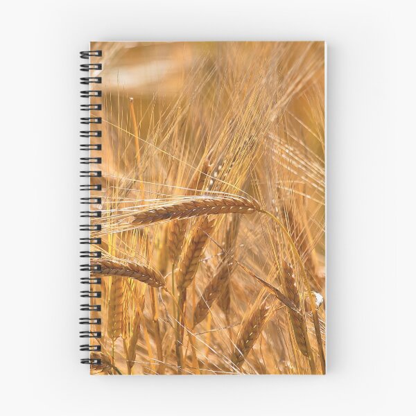 Item preview, Golden Barley designed and sold by Violaman.