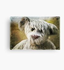 Once Upon a Time... Canvas Print