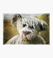Once Upon a Time... Photographic Print