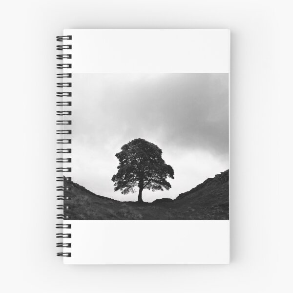 Item preview, Lone Cypress designed and sold by serenity-photos.