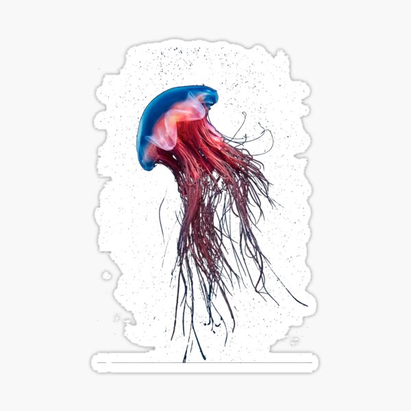 #Jellyfish #Cnidaria #Bioluminescence #Invertebrate underwater science biology fish aquarium swimming Sticker