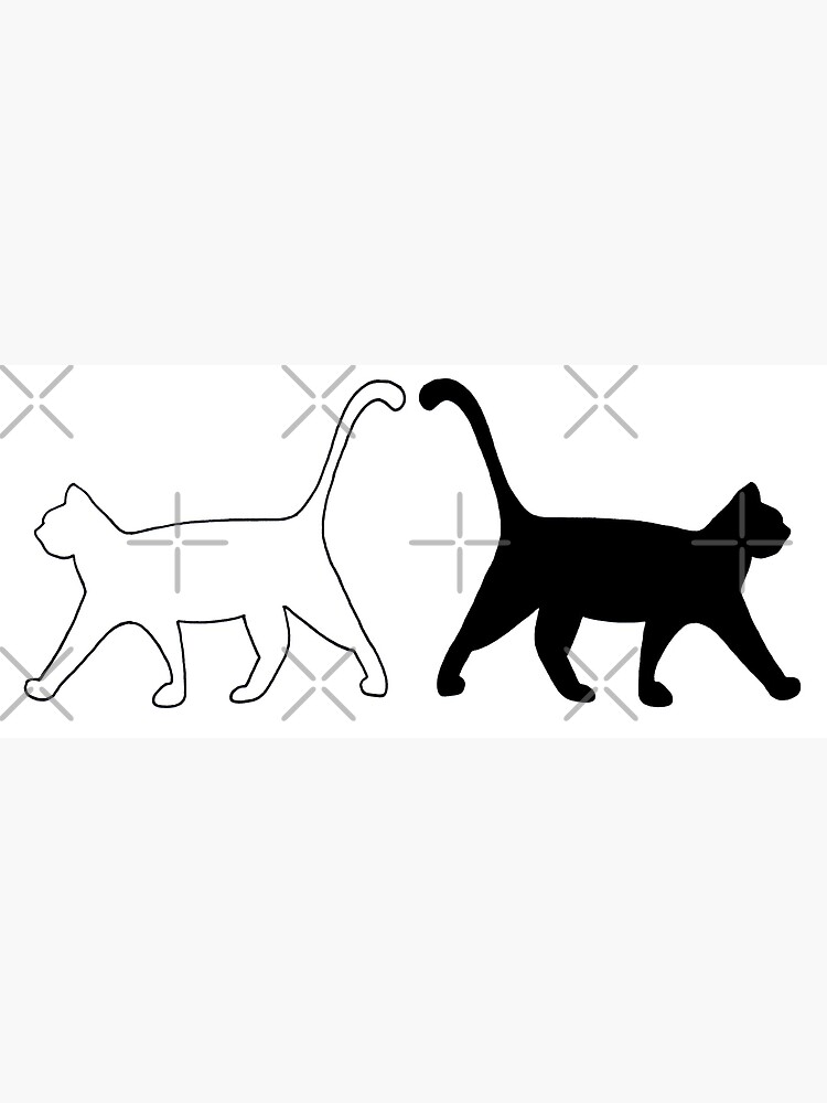 "Black and white cats" Poster for Sale by JasonTrivettart Redbubble