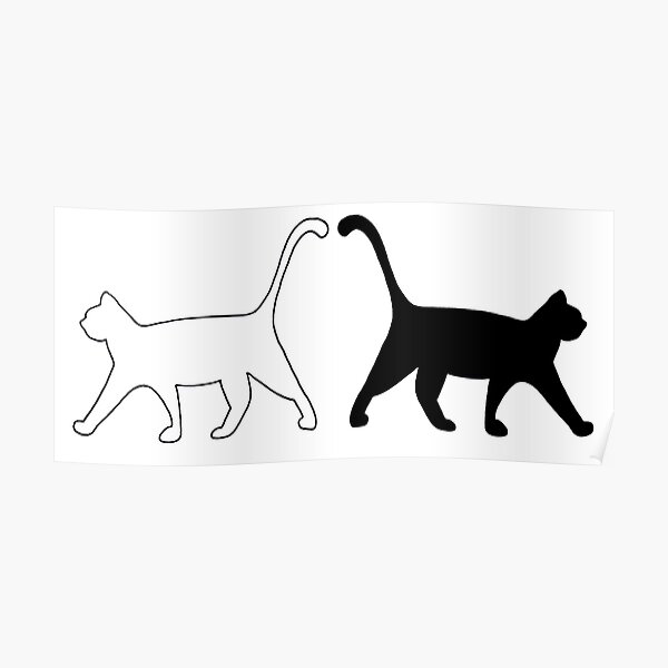 "Black and white cats" Poster for Sale by JasonTrivettart Redbubble