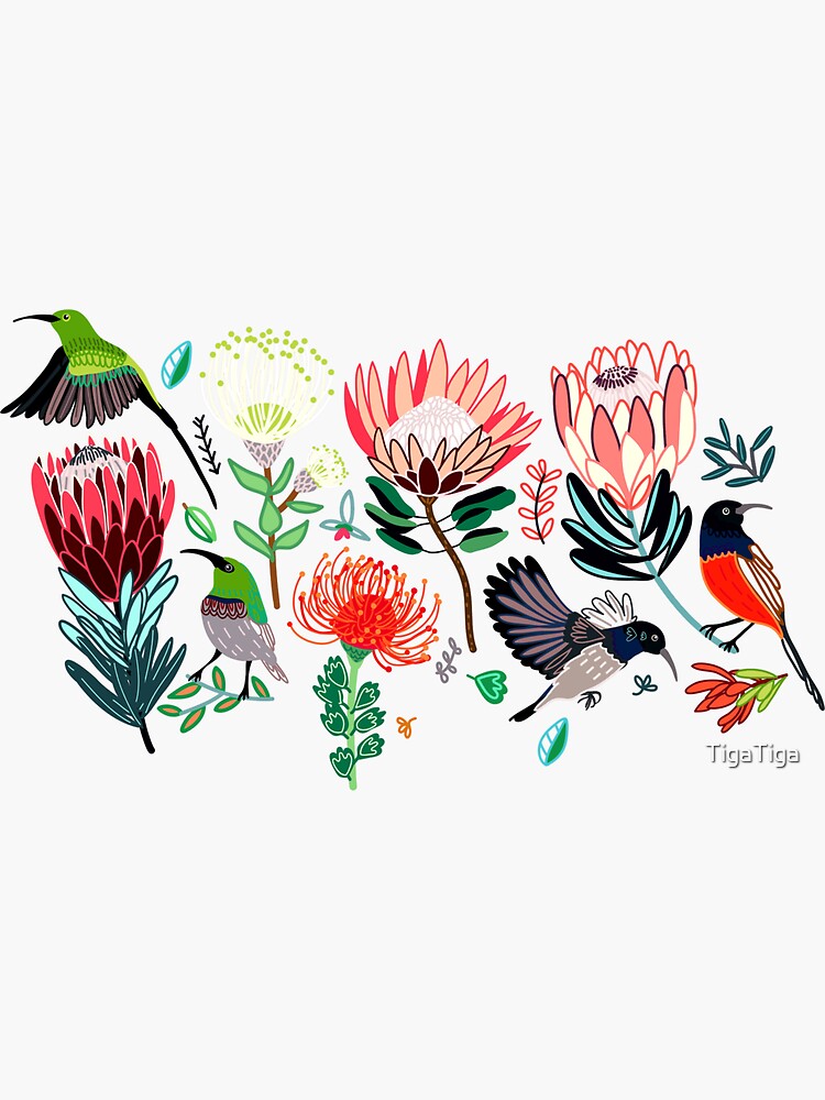 Sunbirds & Proteas On Grey by TigaTiga
