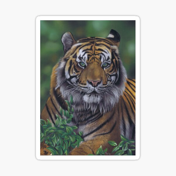 Eye of the Tiger by Karie-Ann Cooper Sticker
