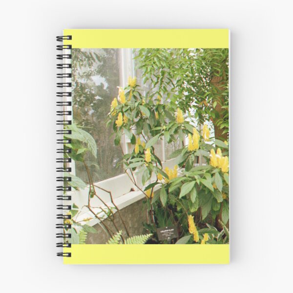 Item preview, Yellow Buds designed and sold by Jillian Shoop.