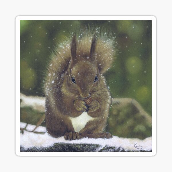 Squirrel Nutkin by Karie-Ann Cooper Sticker