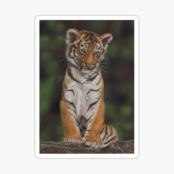 Angel Eyes by Karie-Ann Cooper Sticker