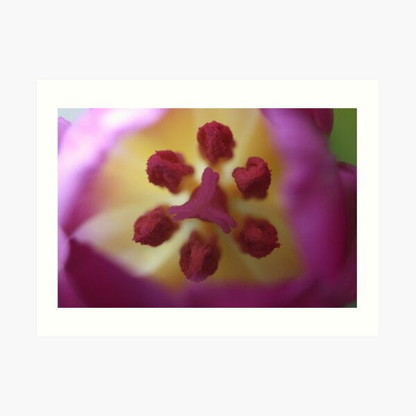 B1 Art Print