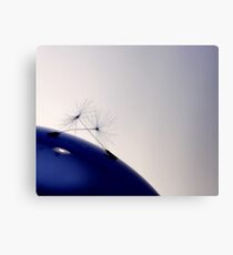 landet Canvas Print