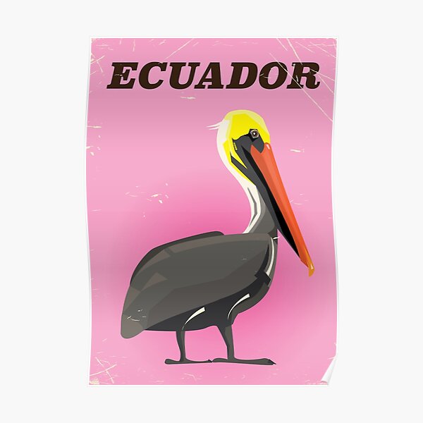 Cartel de viaje vintage de Ecuador Pelican Póster