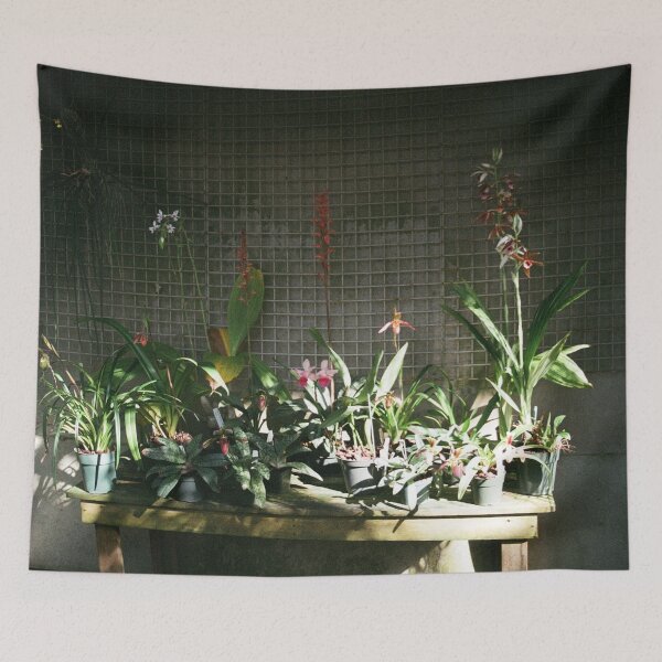 Item preview, Sunlit Plant designed and sold by Jillian Shoop.