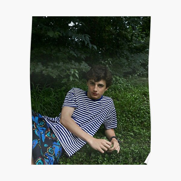 Timothée Chalamet Poster