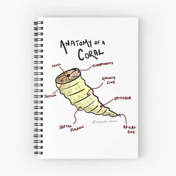 Item preview, Anatomy of a Coral designed and sold by RockADoodles.