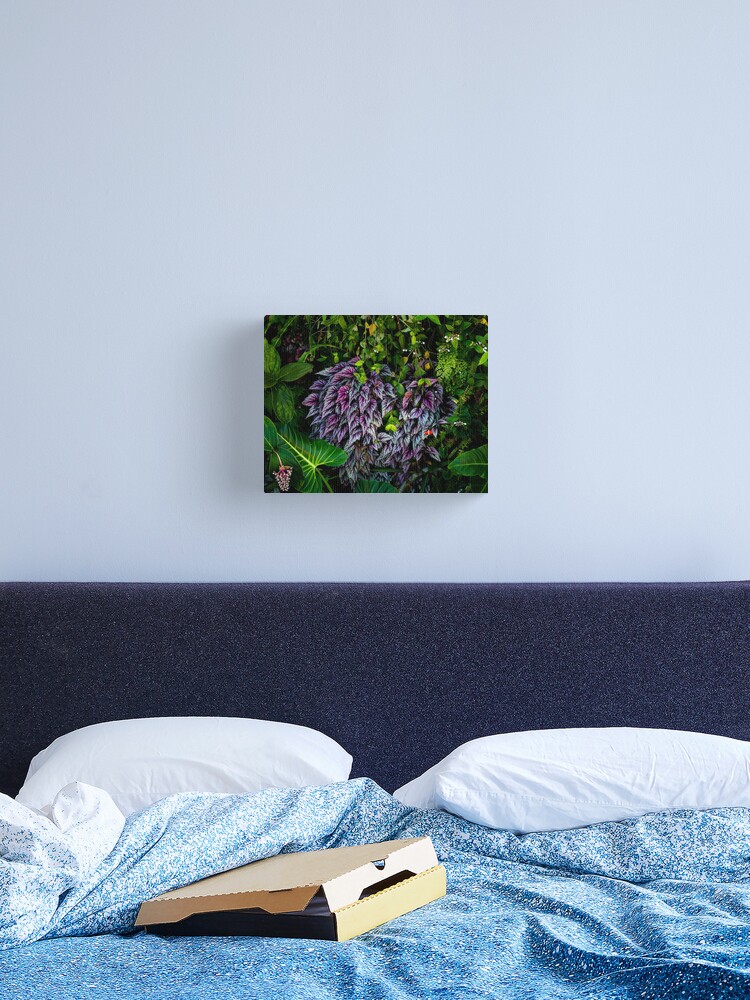 Thumbnail 2 of 3, Canvas Print, Colors of Nature designed and sold by darren-j-mcleod.