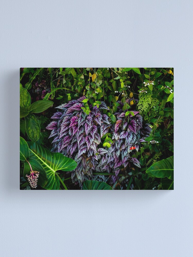 Thumbnail 1 of 3, Canvas Print, Colors of Nature designed and sold by darren-j-mcleod.