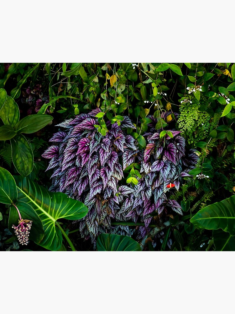 Thumbnail 3 of 3, Canvas Print, Colors of Nature designed and sold by darren-j-mcleod.