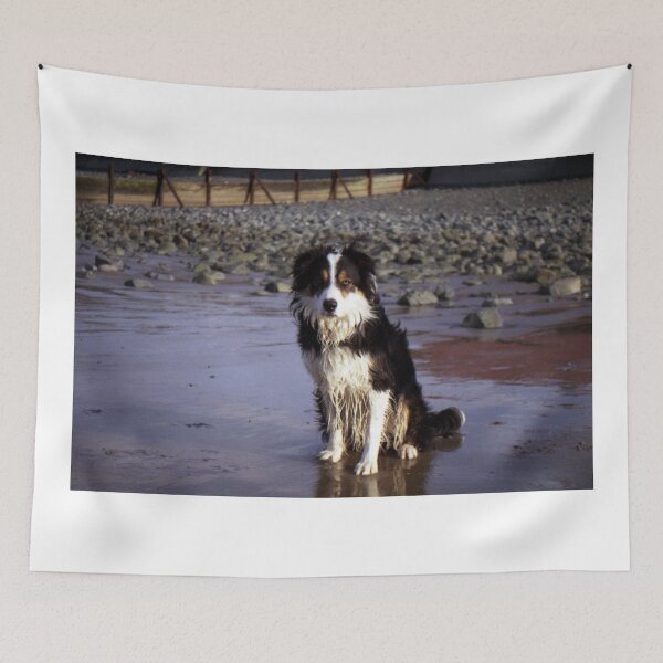 Item preview, Laddie of the beach designed and sold by Michael Haslam.