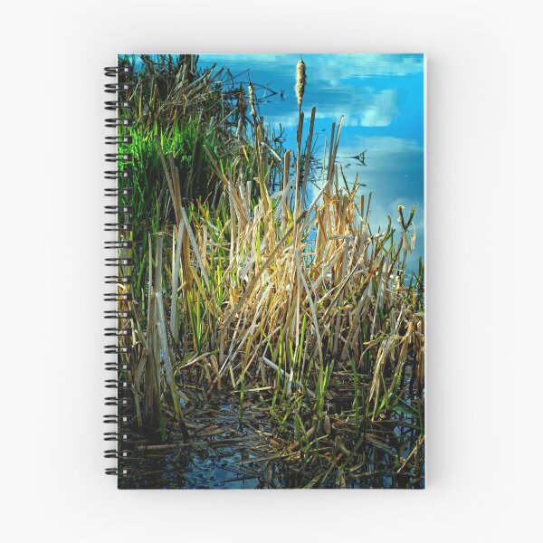 Item preview, Bungay Reeds designed and sold by Photography & Emotive Ai.