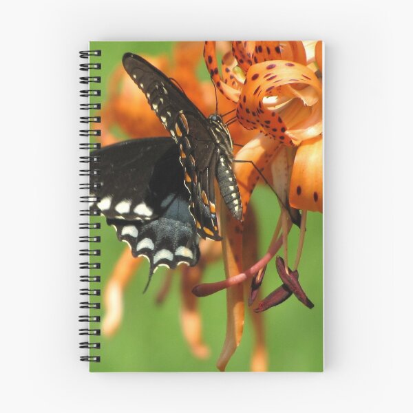 Item preview, Dance Of Swallowtail and Tiger Lily designed and sold by Jean Gregory Evans.